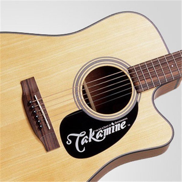 Takamine EG320SC Elektro Akustik Gitar