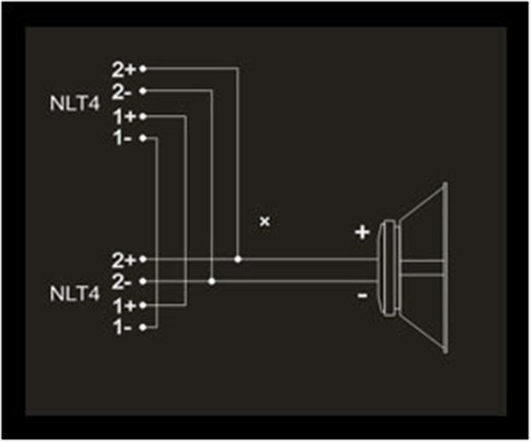 AudioCenter PF 118B+ Pasif Kabin Hoparlör