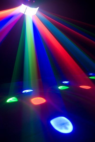 Chauvet - O Beast