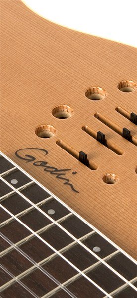 GODIN Multiac Nylon Encore SG