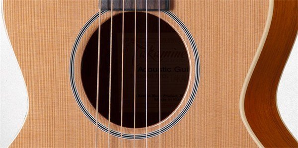 Takamine GMINI NS Akustik Gitar
