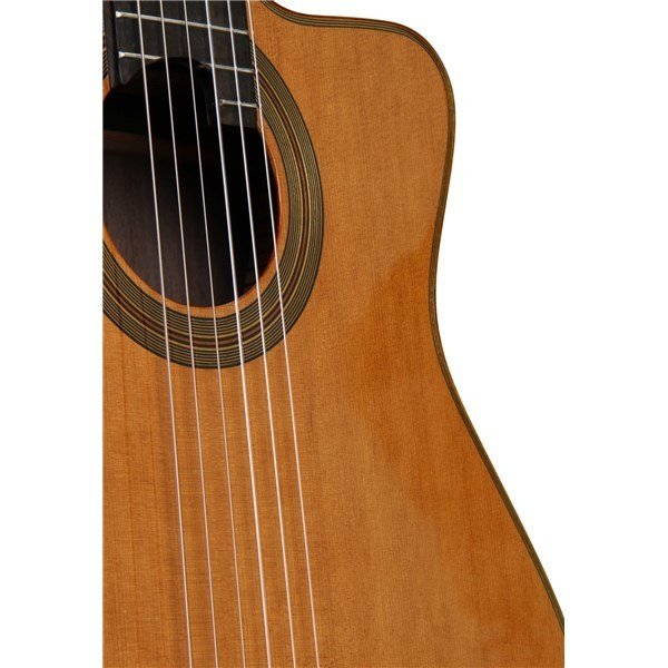 Cordoba Fusion Orchestra CE Cedar Elektro Klasik Gitar