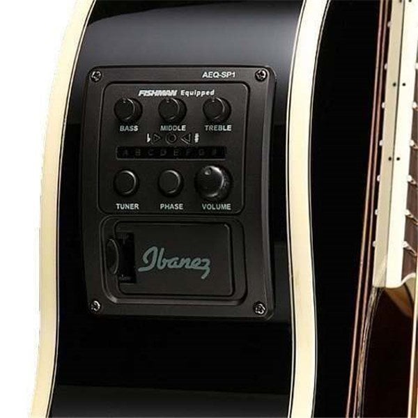 Ibanez AEG10II-BK Elektro Akustik Gitar