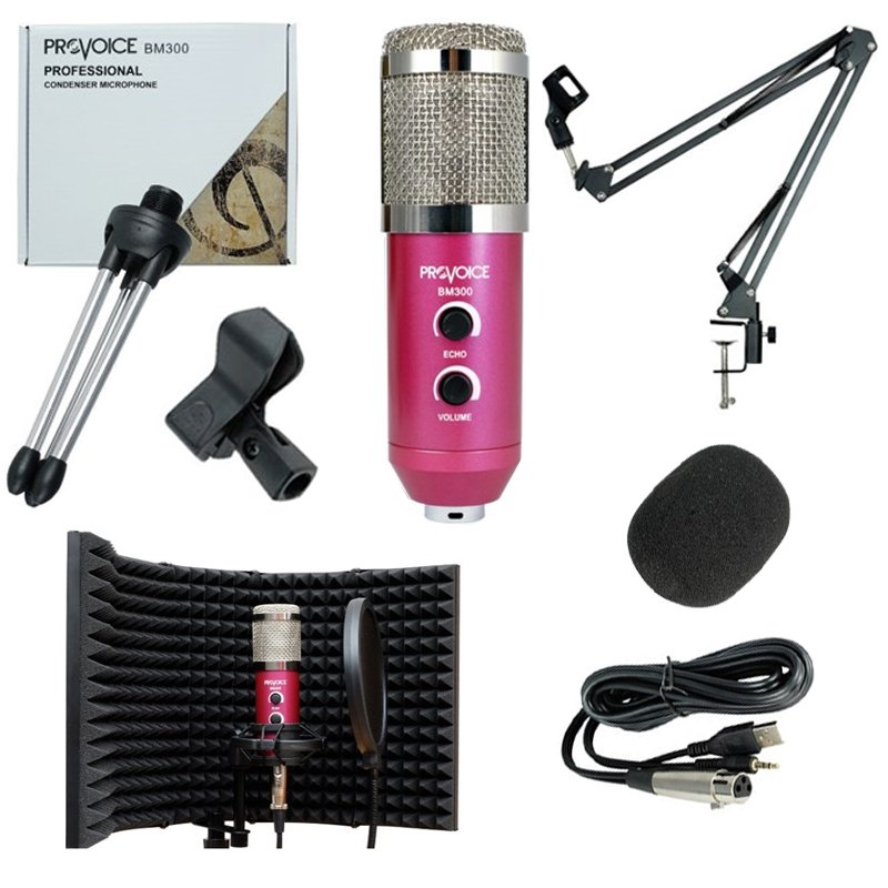 Provoice BM-300 Mikrofon + AS-21 Stand + Yalıtım Paneli + Pop Filtre Pembe