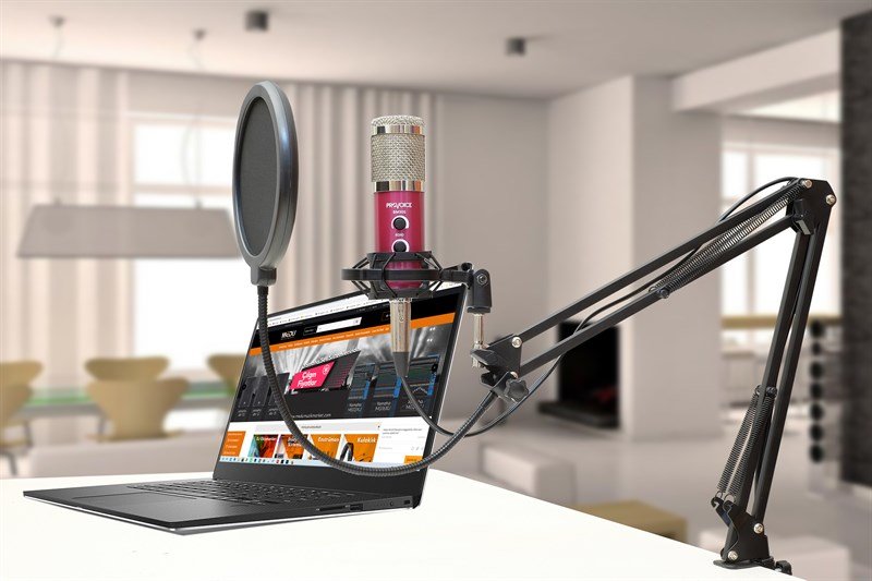 Provoice BM-300 Stüdyo Mikrofon+ AS-21 Stand+ Pop Filtre Full Set Pembe