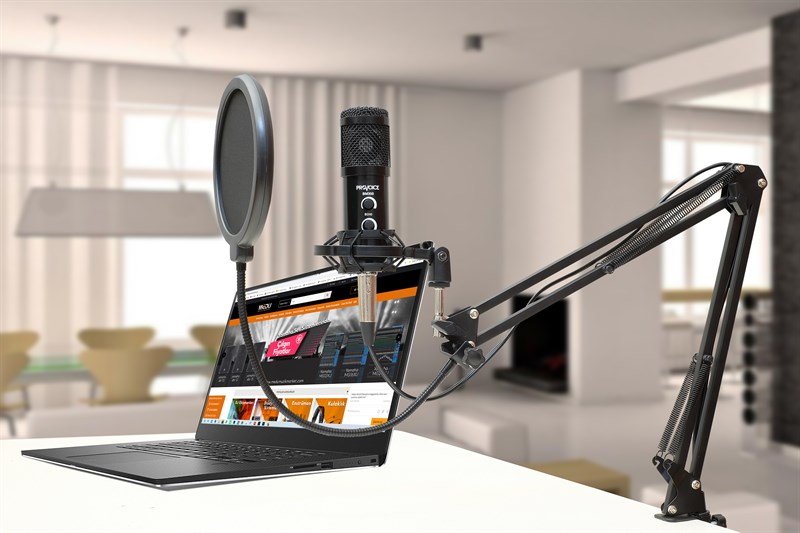 Provoice BM-300 Stüdyo Mikrofon+ AS-21 Stand+ Pop Filtre Full Set Siyah