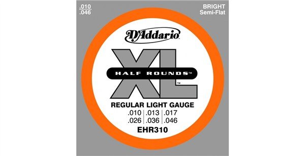 DAddario - EHR310