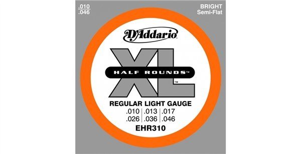DAddario - EHR310